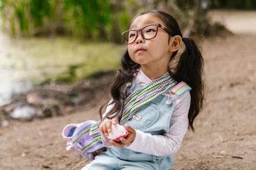 アイウェア, アジア人の女の子, おさげの無料の写真素材