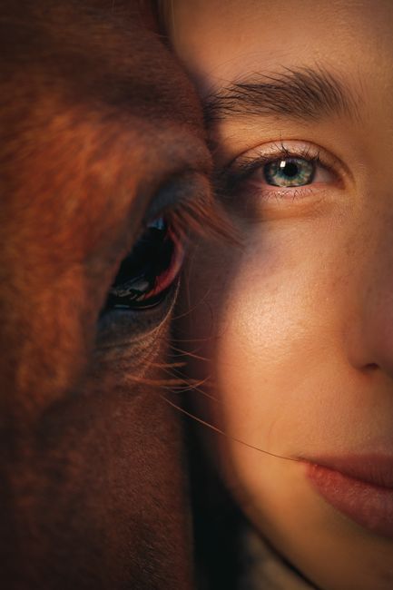 Closeup of crop unrecognizable female with green eyes touching muzzle of brown horse while looking at camera