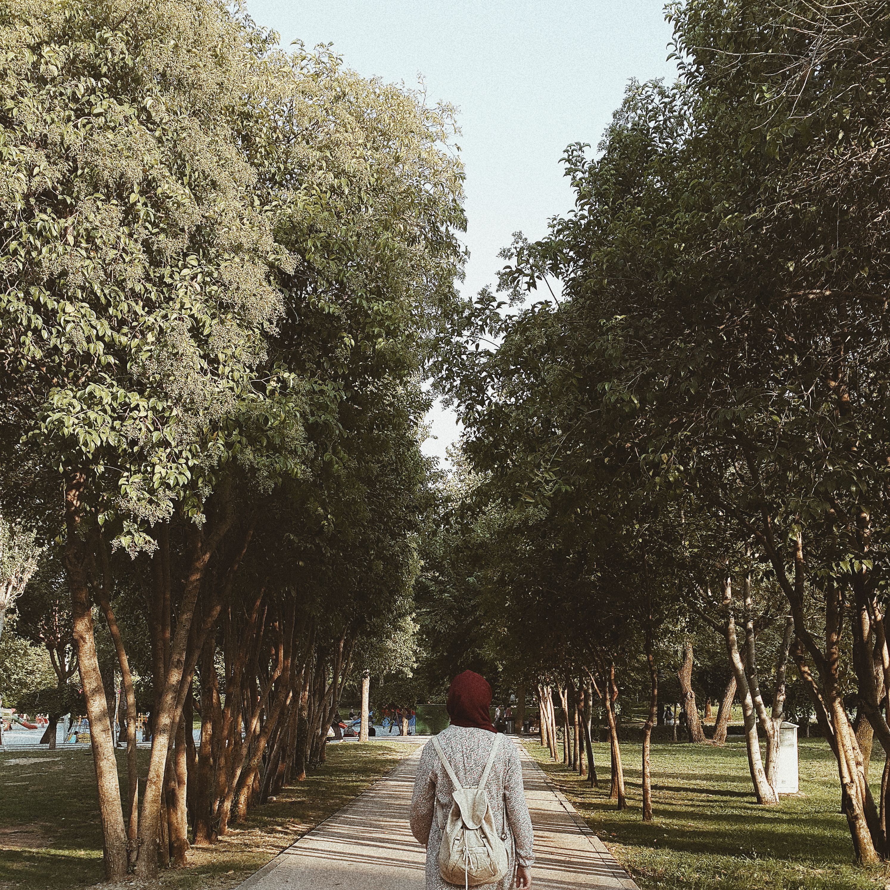 Woman Walking on Pathway Between Green Trees · Free Stock Photo