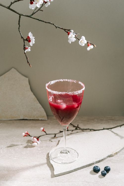 Free Refined cocktail glass with red drink, surrounded by cherry blossoms and ice cubes. Stock Photo