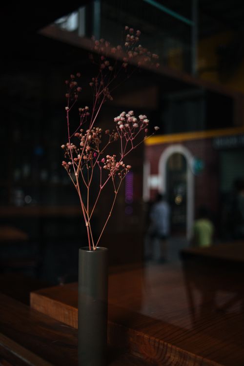 Free Delicate dried flowers in a modern minimalist vase on a wooden table, perfect for home decor. Stock Photo