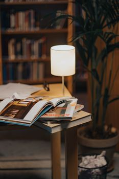 Warm, inviting reading space featuring a glowing lamp, open books on a wooden table, and a lush green plant.
