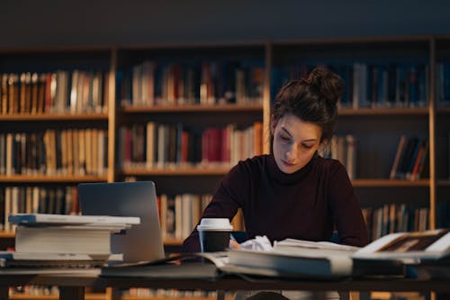 Woman with a Laptop Reading