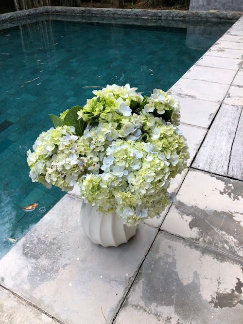 Flowers in a Vase next to the Swimming Pool 