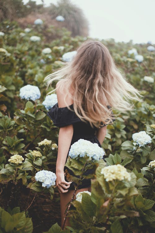 Woman in Black Off Shoulder Top in the Flower Farm