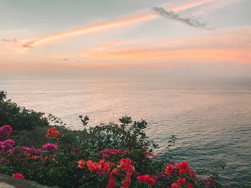 夏天, 日落, 海 的 免費圖庫相片