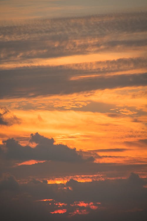 Бесплатное стоковое фото с атмосфера, вертикальный выстрел, закат