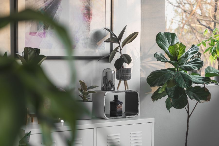 Urban Jungle woonstijl