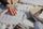 script