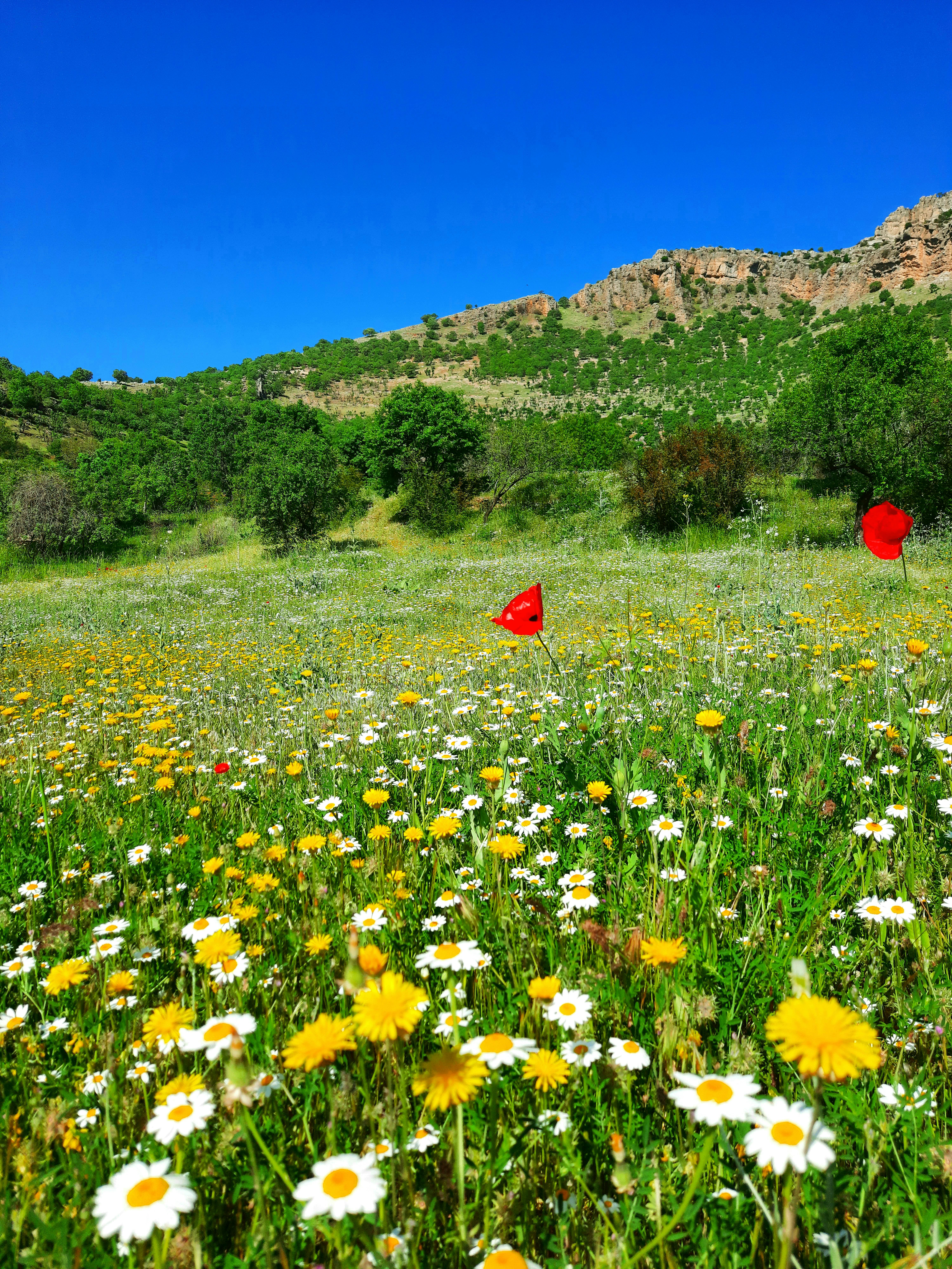 Human and robot arm working together
