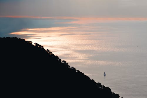 Schattenbild Der Bäume Auf Berg