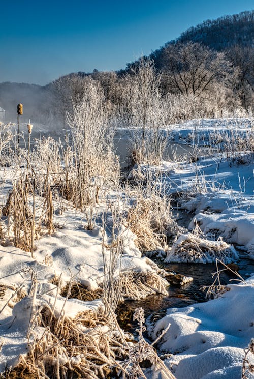 A Narrow Brook Flowing in Snow Covered Ground