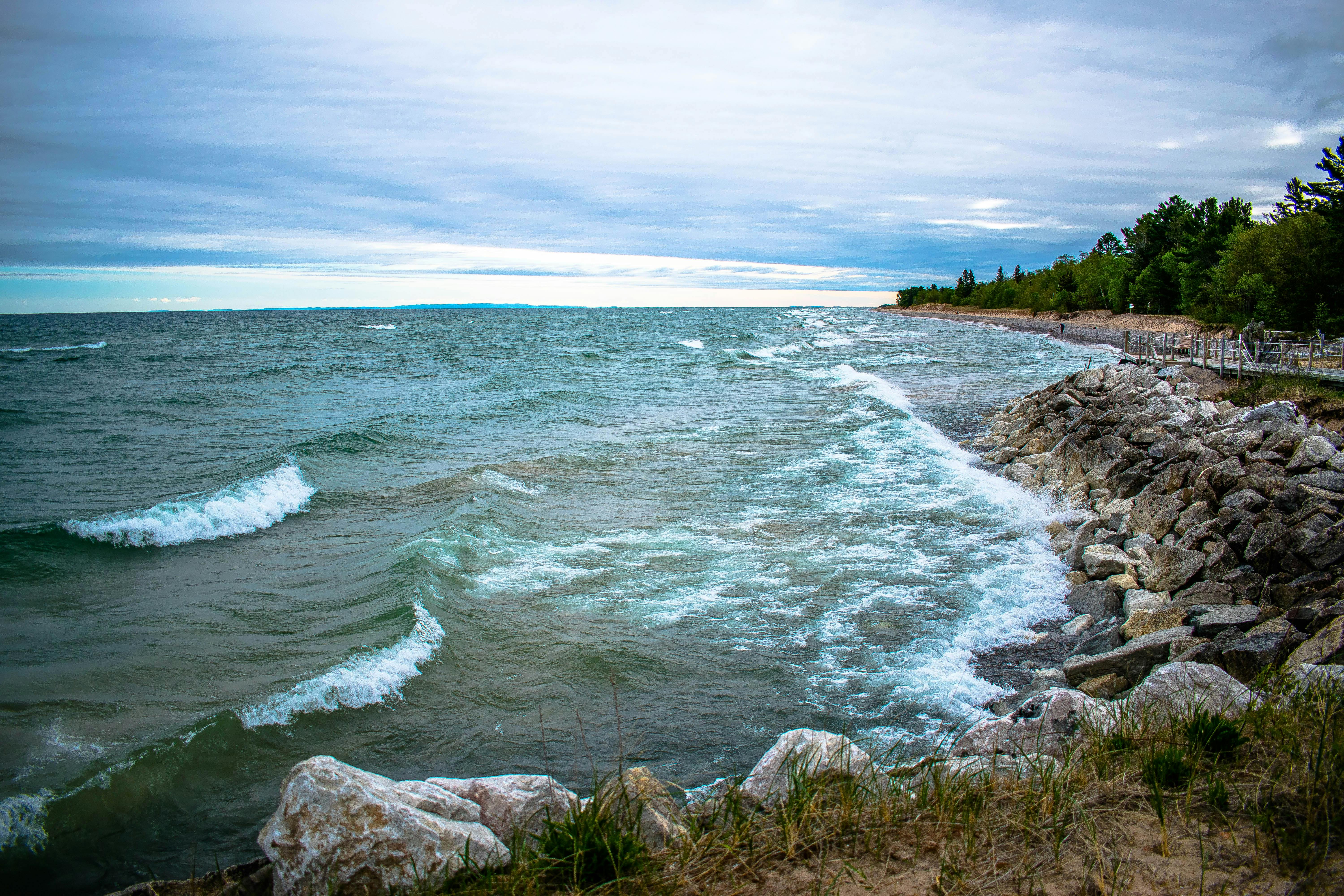 UNE students ‘Restore the Shore’ to strengthen campus climate resilience — Photo by Shannan DuShane on Pexels