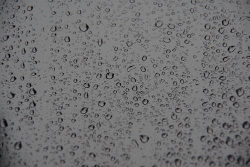 Foto profissional grátis de gotas de chuva