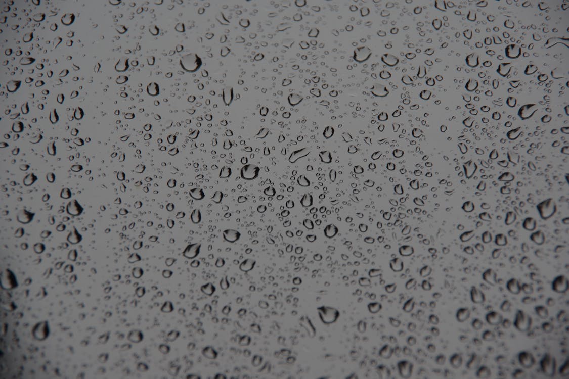 Darmowe zdjęcie z galerii z krople deszczu