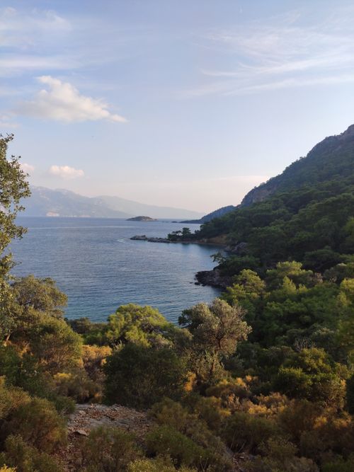 Free Breathtaking view of the tranquil coast with lush greenery in Muğla, Türkiye. Stock Photo