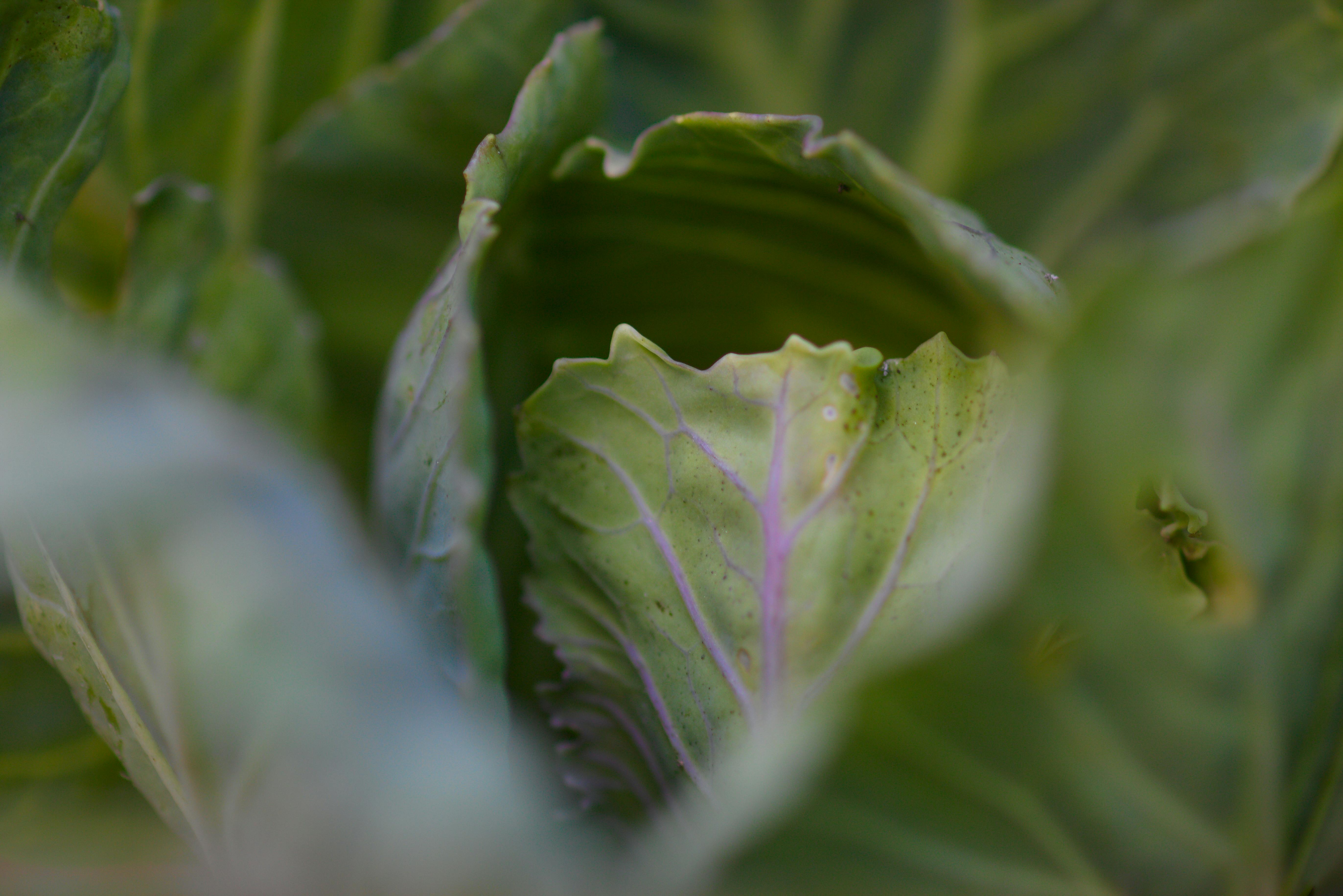 Collection of VHS tapes stacked together evoking analog nostalgia