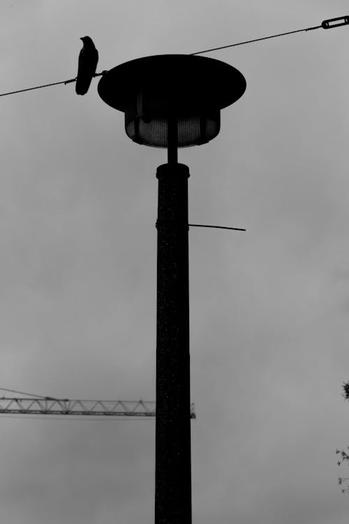 Darmowe zdjęcie z galerii z budowa, depresja, lampa