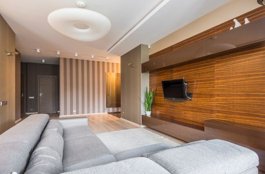 Contemporary living room featuring minimalist furniture and sleek design elements.