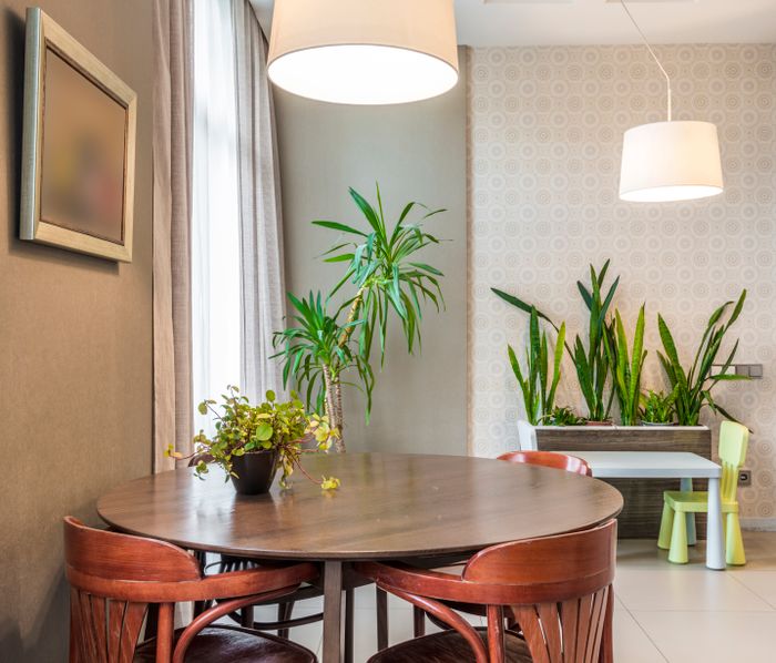 Round dining table under a pendant lamp, plants along the wall. Photo by Max Vakhtbovych on Pexels