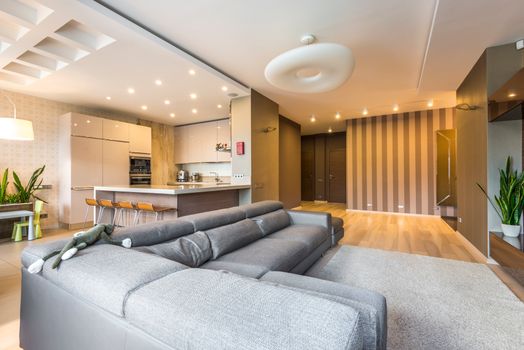 Spacious and elegantly designed open-concept living room with modern kitchen and dining area.