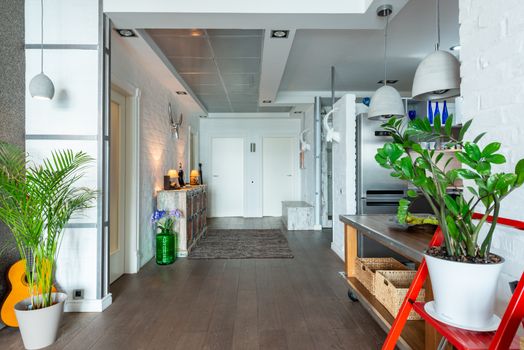 Modern apartment corridor with vibrant decor and plants, highlighting contemporary style.