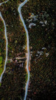 Stunning aerial shot capturing a winding road through dense autumn forest.