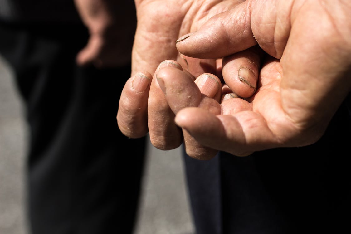 Free Photo of Person's Hands Stock Photo