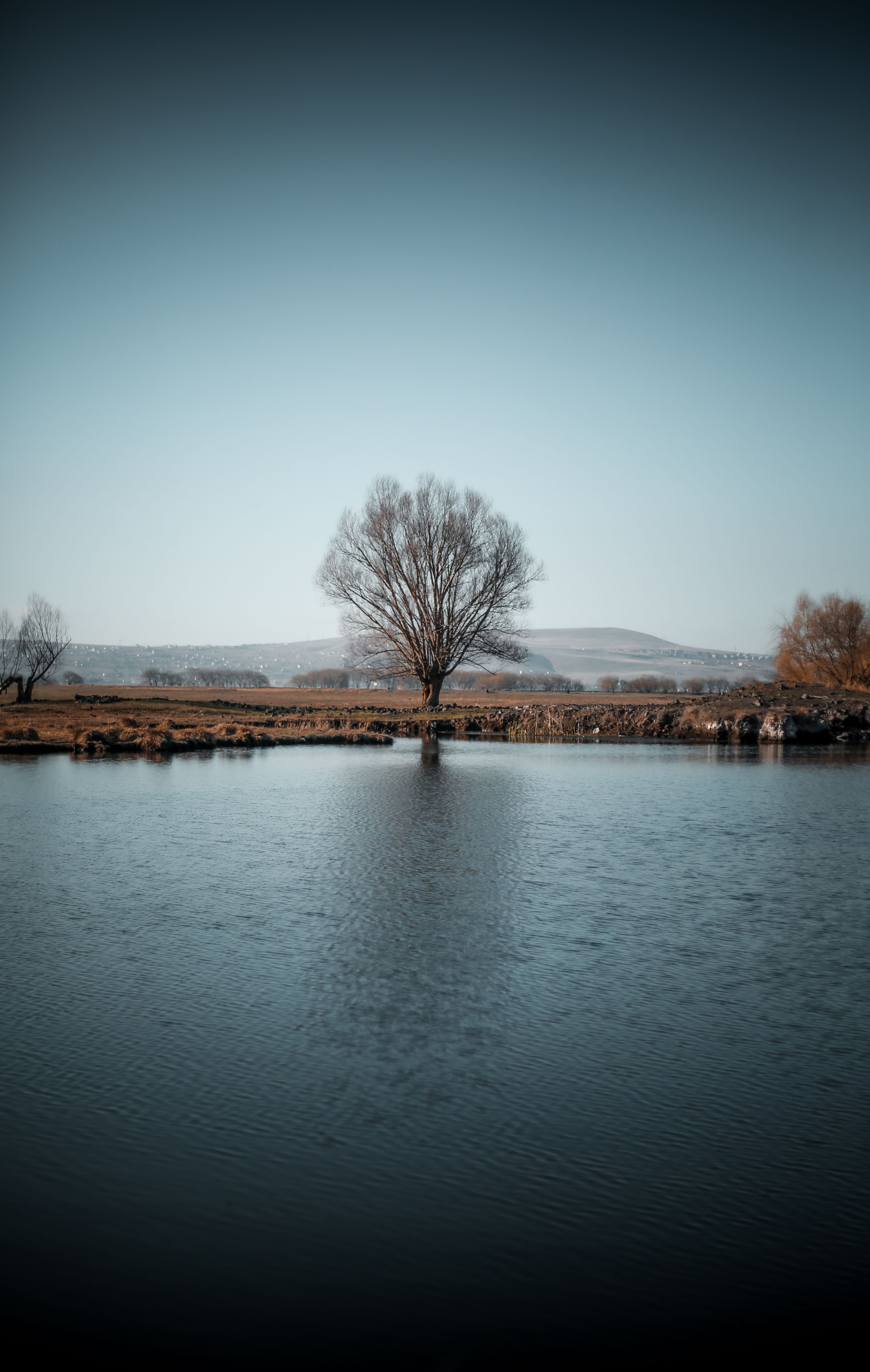 Green Trees Near Lake Under Blue Sky · Free Stock Photo