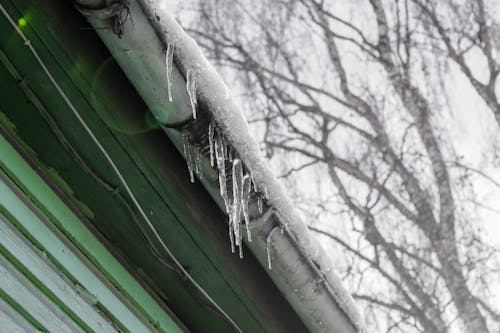 Free stock photo of cold, icicle, icicles