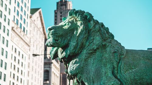 Free Majestic lion statue in a cityscape with tall buildings under a clear blue sky. Stock Photo