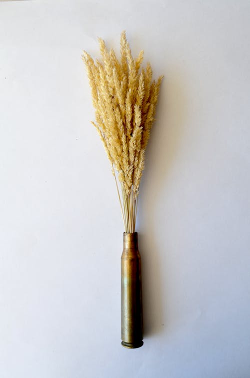 Wheat Grass On Metal Vase