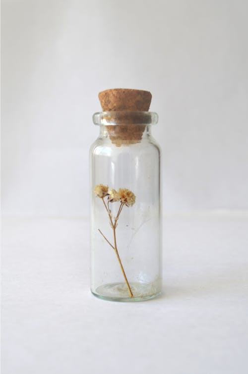 White Small Flower in Clear Glass Jar