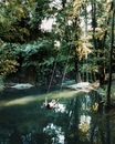 Free stock photo of dalyan, fall, lake