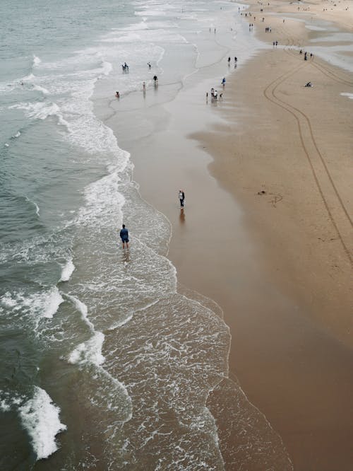 boş zaman, dalgalar, deniz kenarı içeren Ücretsiz stok fotoğraf