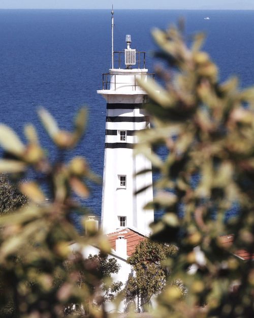 Free Scenic view of Foça Lighthouse framed by trees with the Aegean Sea in the background, located in İzmir, Türkiye. Stock Photo