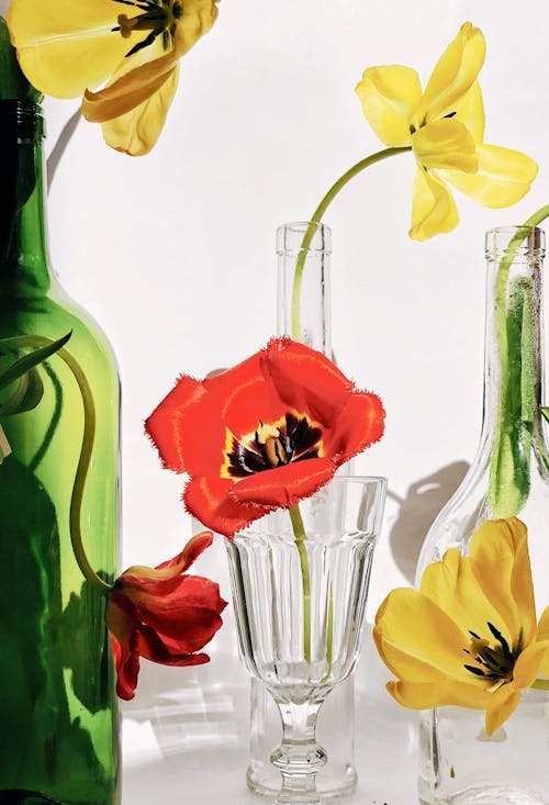 Vases with Flowers