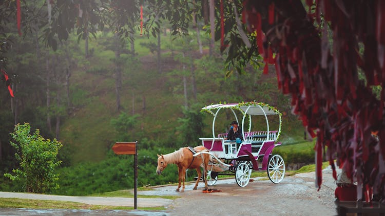 Man Riding Horse Carriage