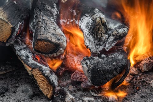 Бесплатное стоковое фото с горение, горячий, древесный уголь