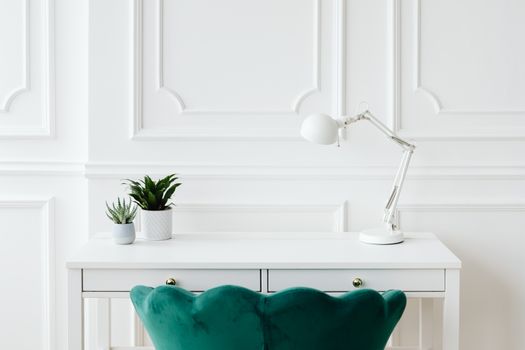 Aesthetic minimalist desk setup featuring potted plants and a white desk lamp against elegant wall paneling.