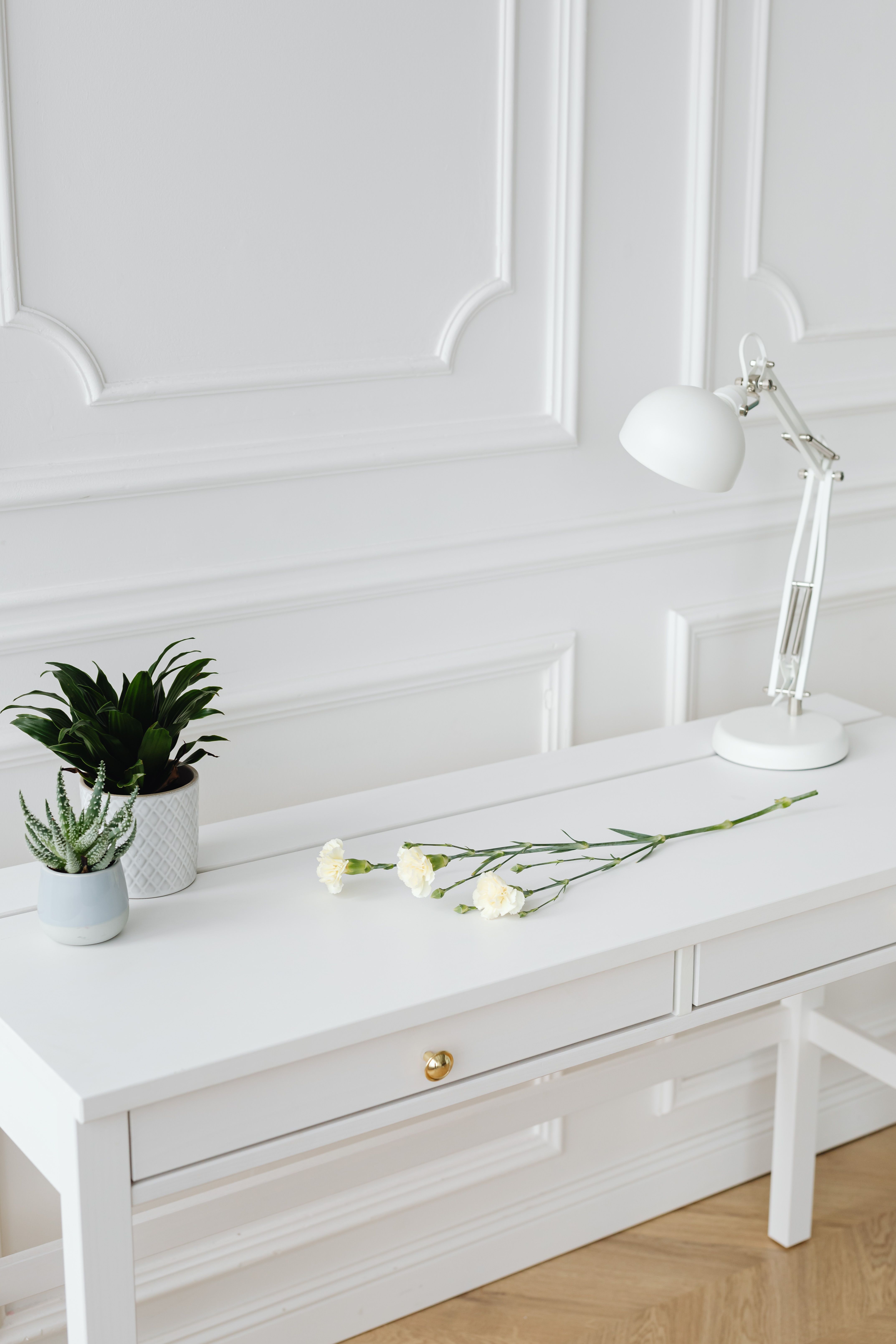 Elegant minimalist white desk setup with lamp, plants, and roses, perfect for a tranquil workspace.