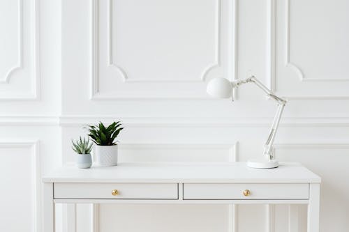 A Potted Plants on a White Drawer with Table Lamp