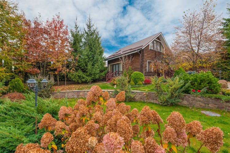 Cottage With Garden In Autumn 