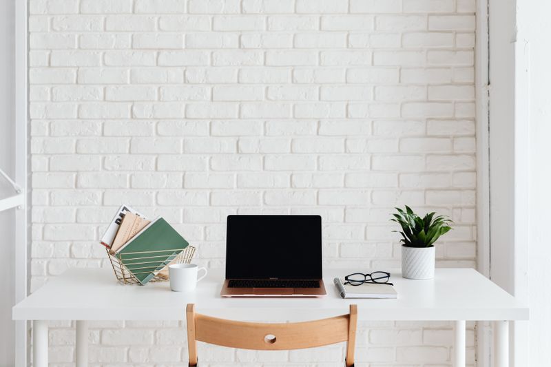 plain neutral wall with a single small plant behind a laptop