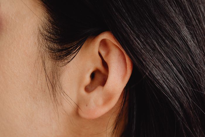 Tema destacado