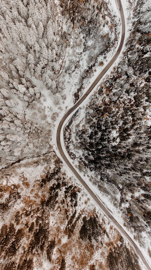 Free Top aerial view of narrow curvy roadway running through snowy evergreen woods in winter time Stock Photo