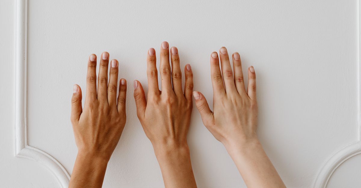 People's Hands with Different Shades of Skin Color · Free Stock Photo