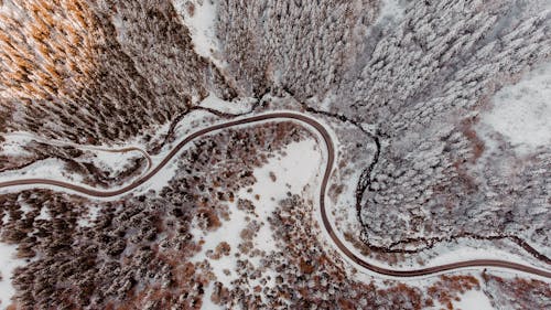Free Drone view of curvy roads running through winter forest Stock Photo