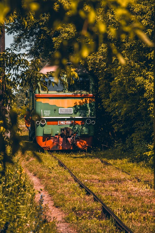 Fotobanka s bezplatnými fotkami na tému cvičiť, električka, listy