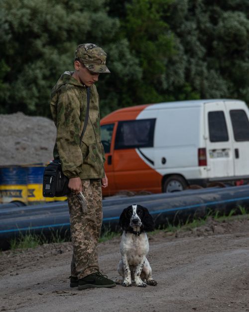 Free Teen dressed in camouflage with dog beside van in outdoor urban setting. Stock Photo